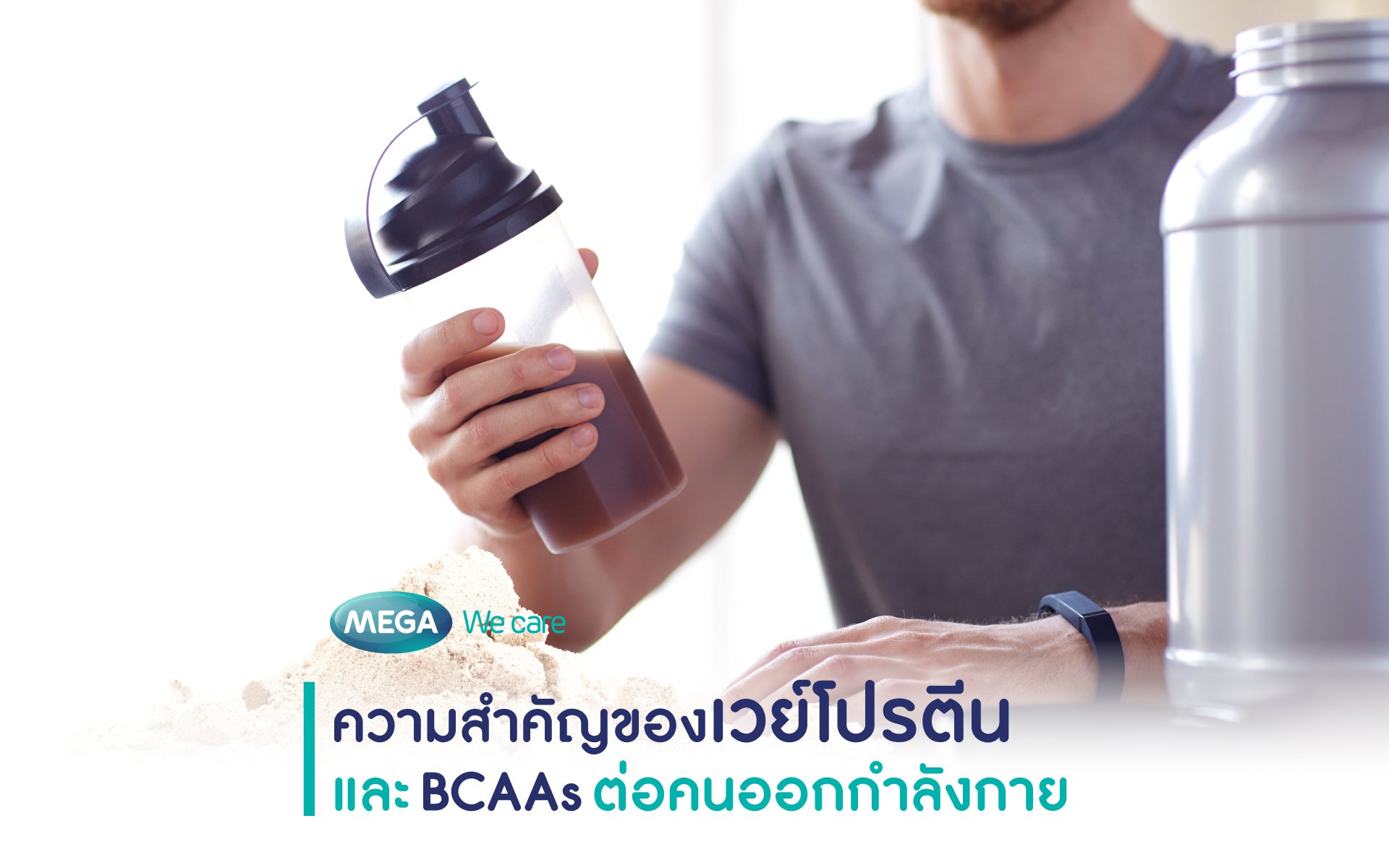 เวย์โปรตีน