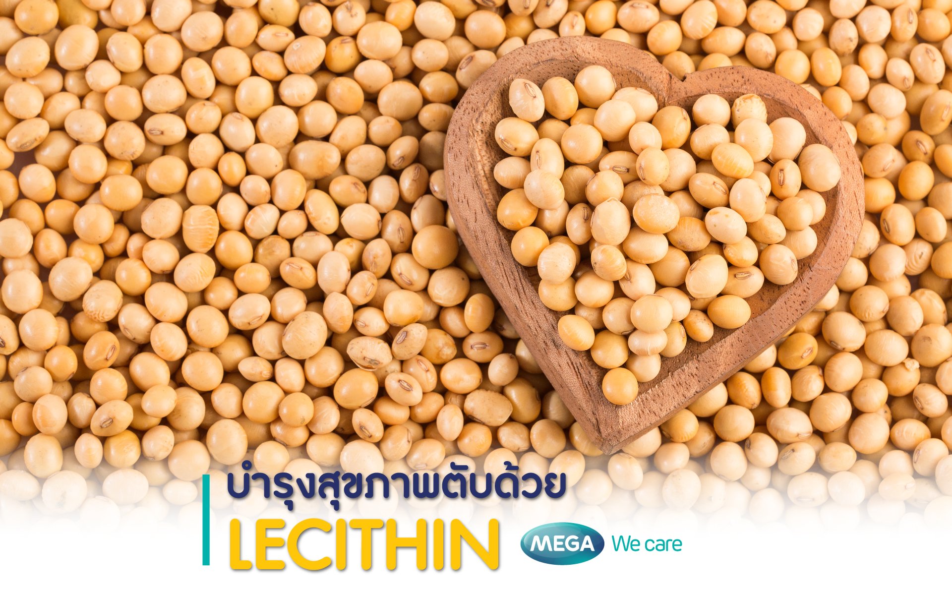 บำรุงสุขภาพตับด้วย “เลซิติน”