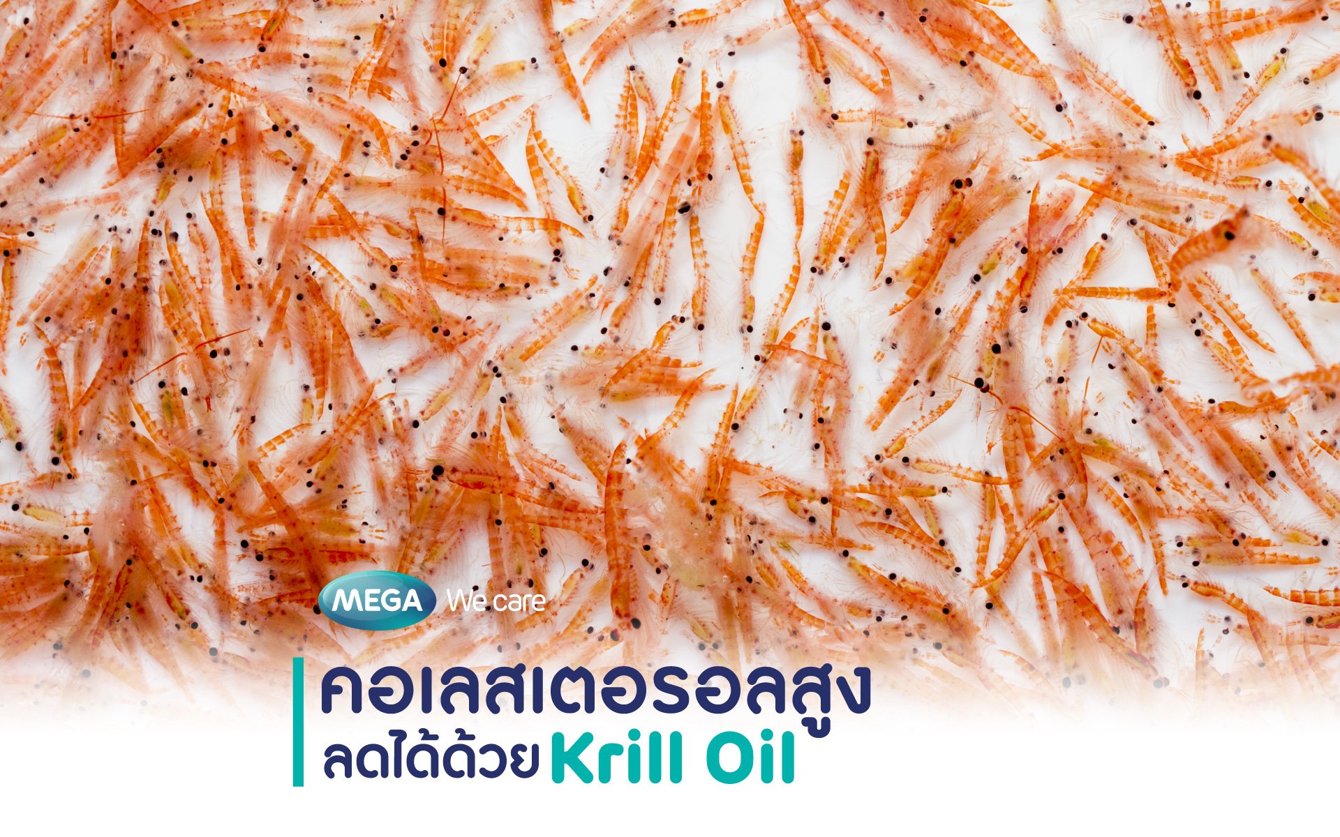 คอเลสเตอรอลสูงลดได้ด้วย Krill Oil