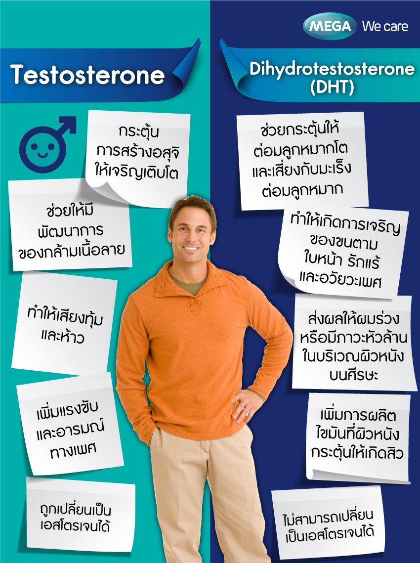 testosterone-and-dihydrotestosterone-(DHT)