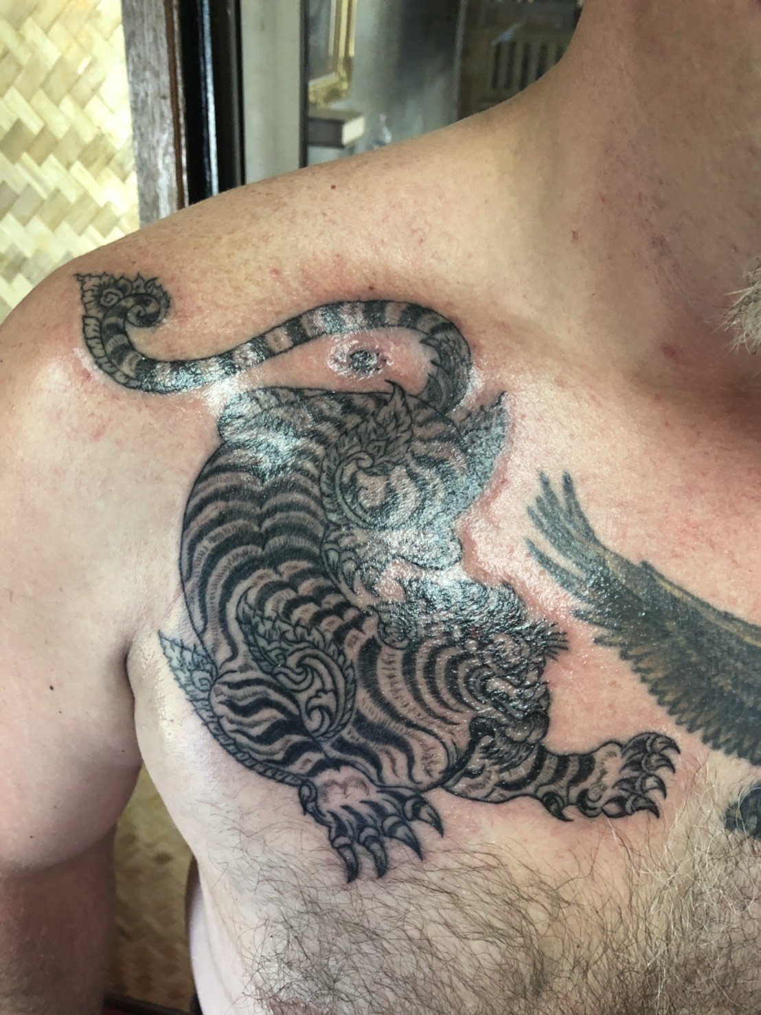50 Amazing Tiger Tattoos Design  Incredible Snaps