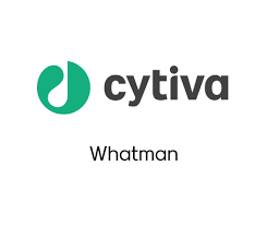 Whatman 