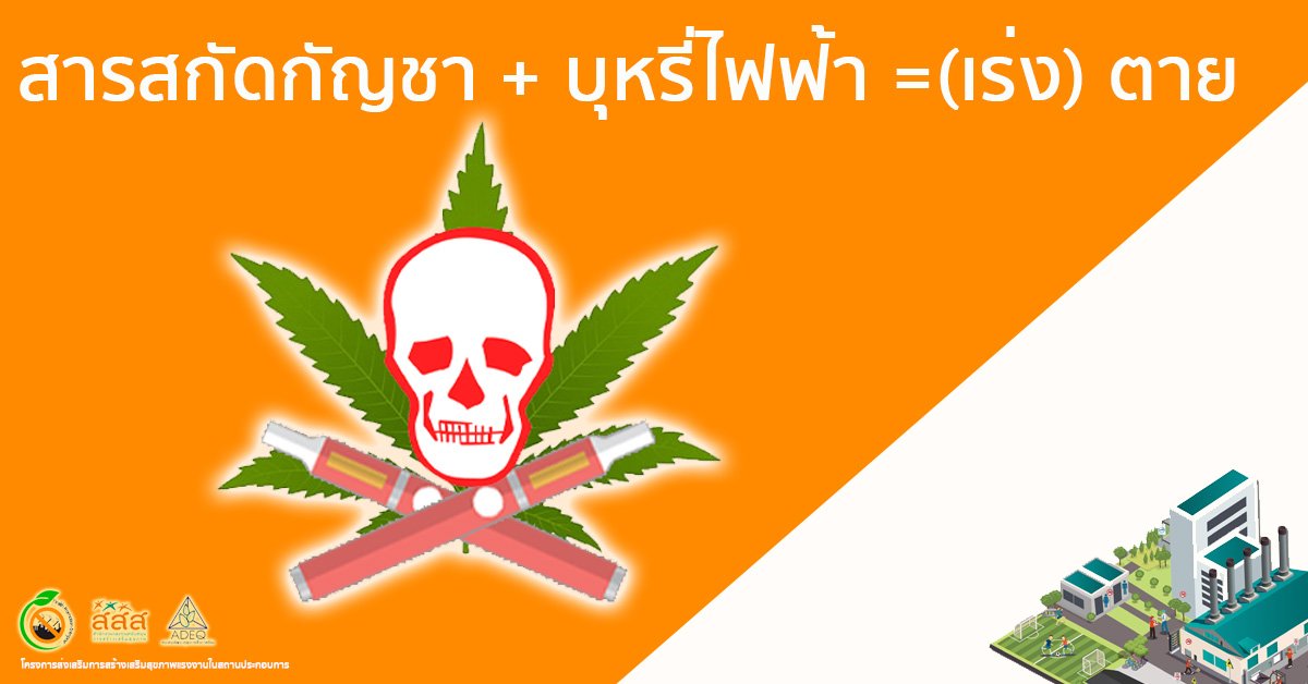 สารสกัดกัญชา + บุหรี่ไฟฟ้า =(เร่ง) ตาย