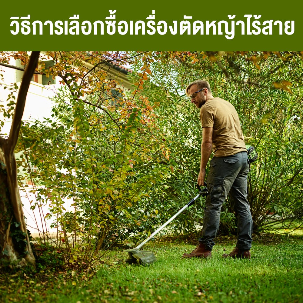 วิธีการเลือกซื้อเครื่องตัดหญ้าไร้สาย วิธีการเลือกซื้อเครื่องตัดหญ้าไร้สาย