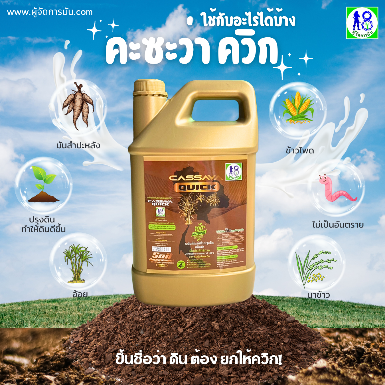 Cassava Quick คืออะไร