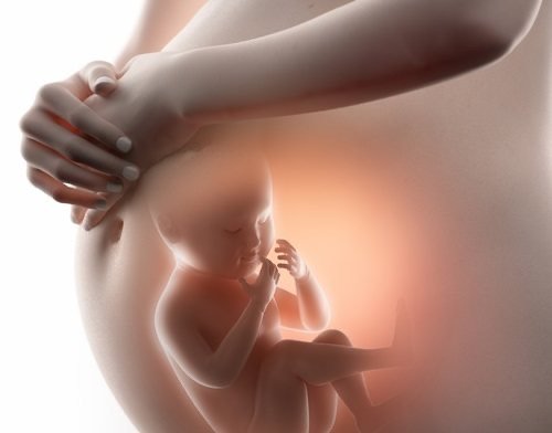 9 เดือน มหัศจรรย์พัฒนาการทารกในครรภ์