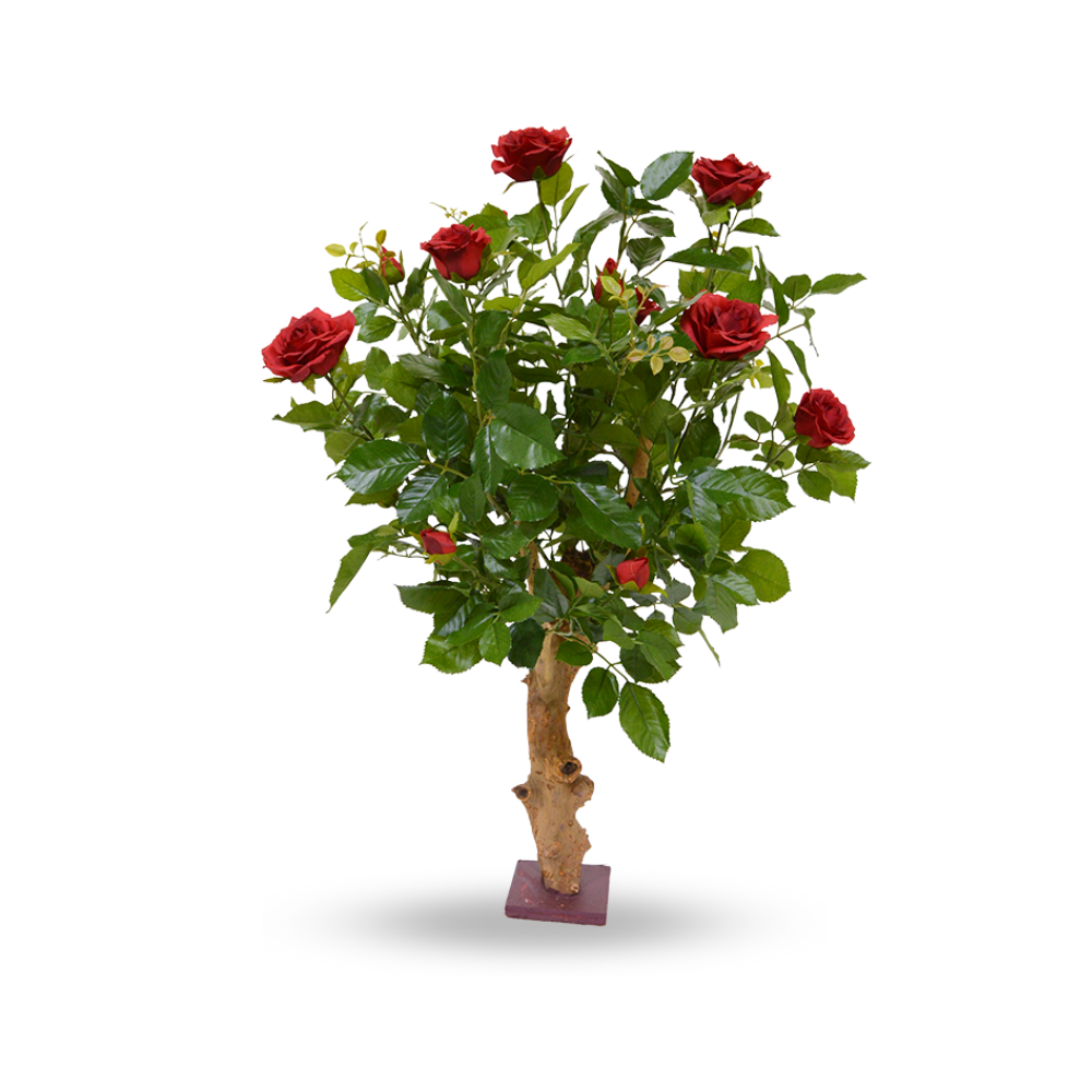 Rose Red - H 80 cm.