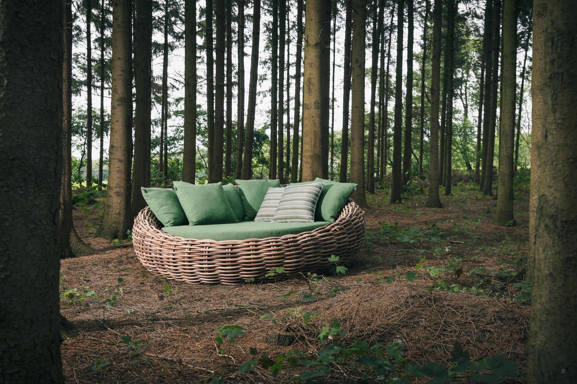 Cocoon