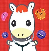 ประกันภัยมะเร็ง Sompo Cancer Care ประกันภัยมะเร็ง Sompo Cancer Care
