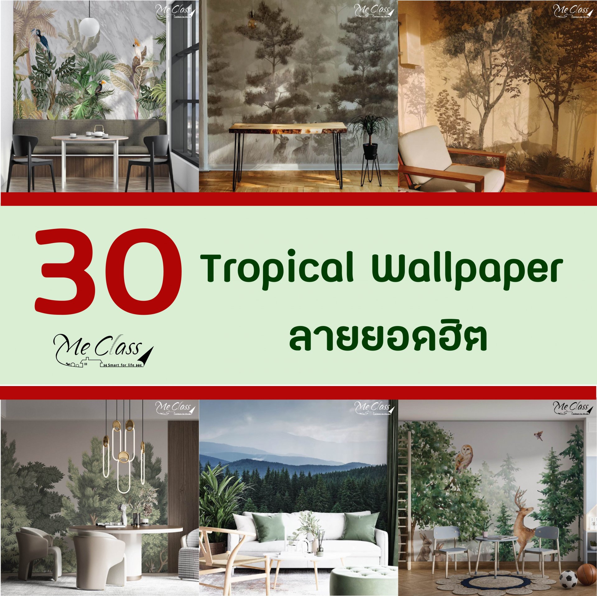 Top 30 วอลเปเปอร์ธรรมชาติ (Tropical Wallpaper) ลายขายดี ติดแล้วปัง!
