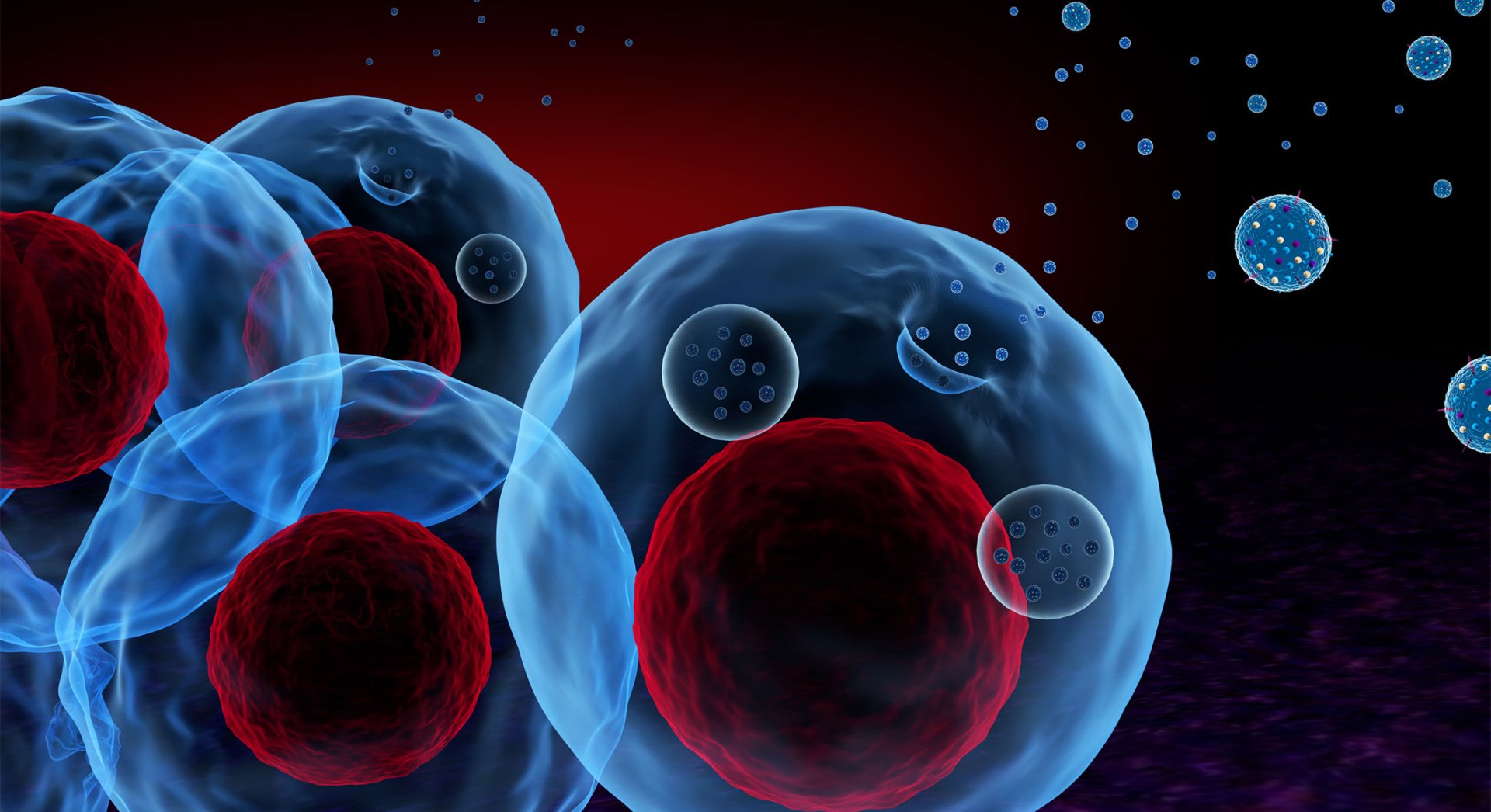 Extracellular vesicles (EVs) Extracellular vesicles (EVs)