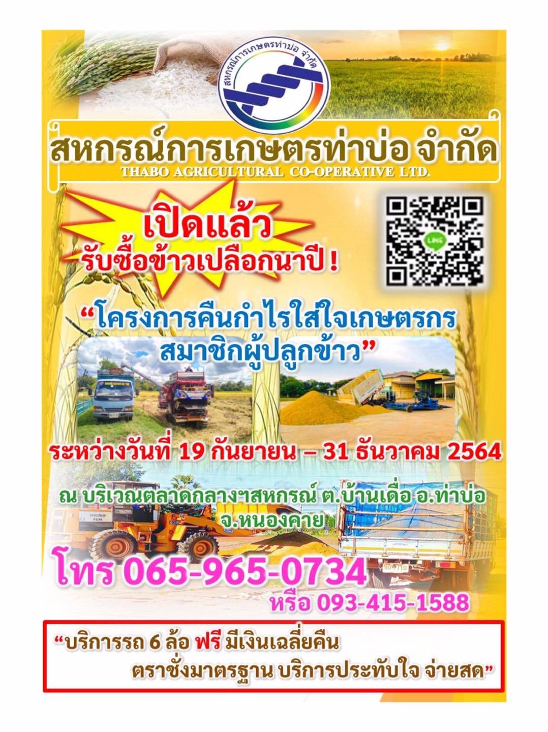 เปิดแล้ว❗️รับซื้อข้าวเปลือกนาปี✅ ระหว่างวันที่ 19 ก.ย - 31 ธ.ค  ติดต่อสอบถามโทร 065-965-0734  หรือ 093-415-1588