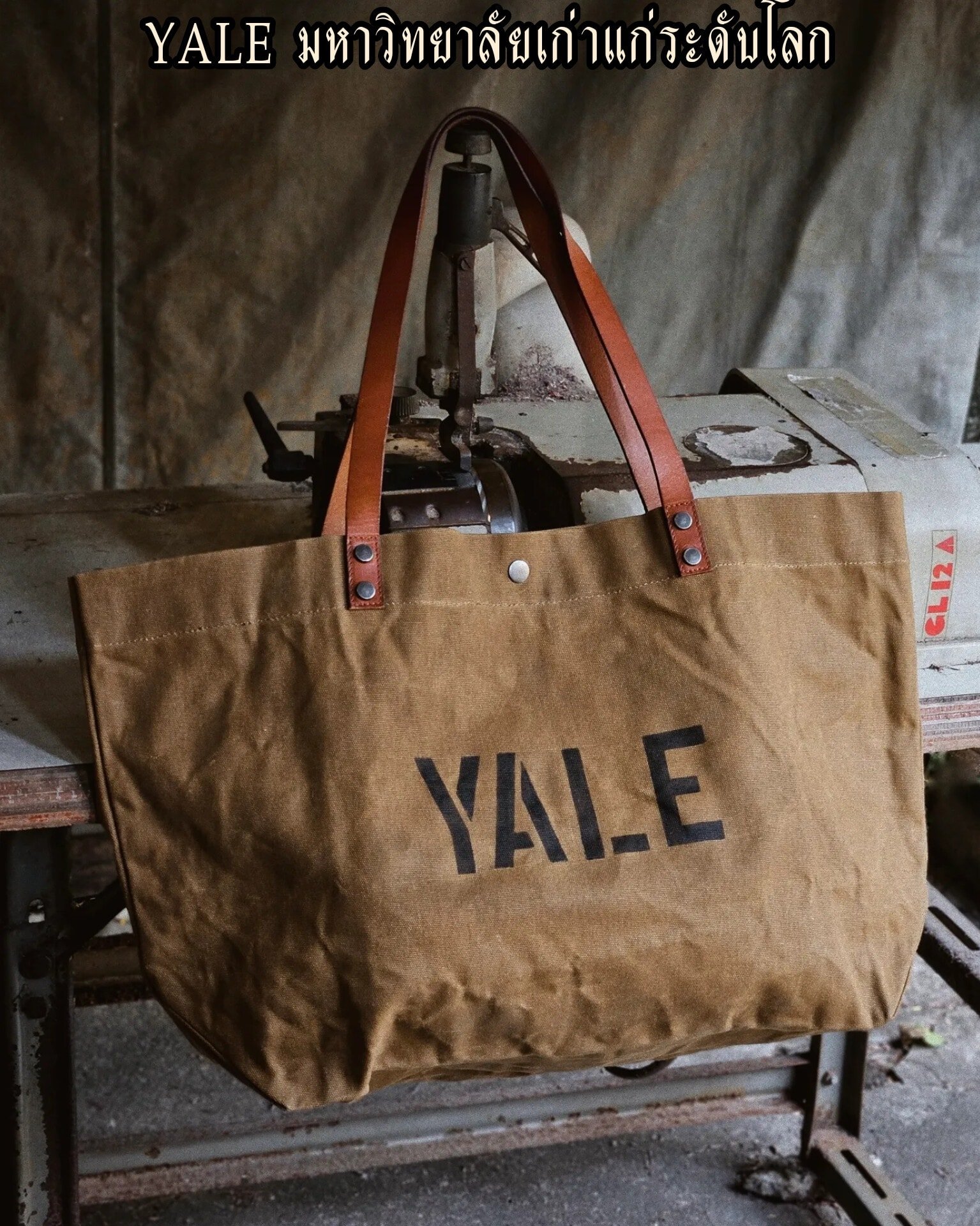 VALLEY-YALE (brown)