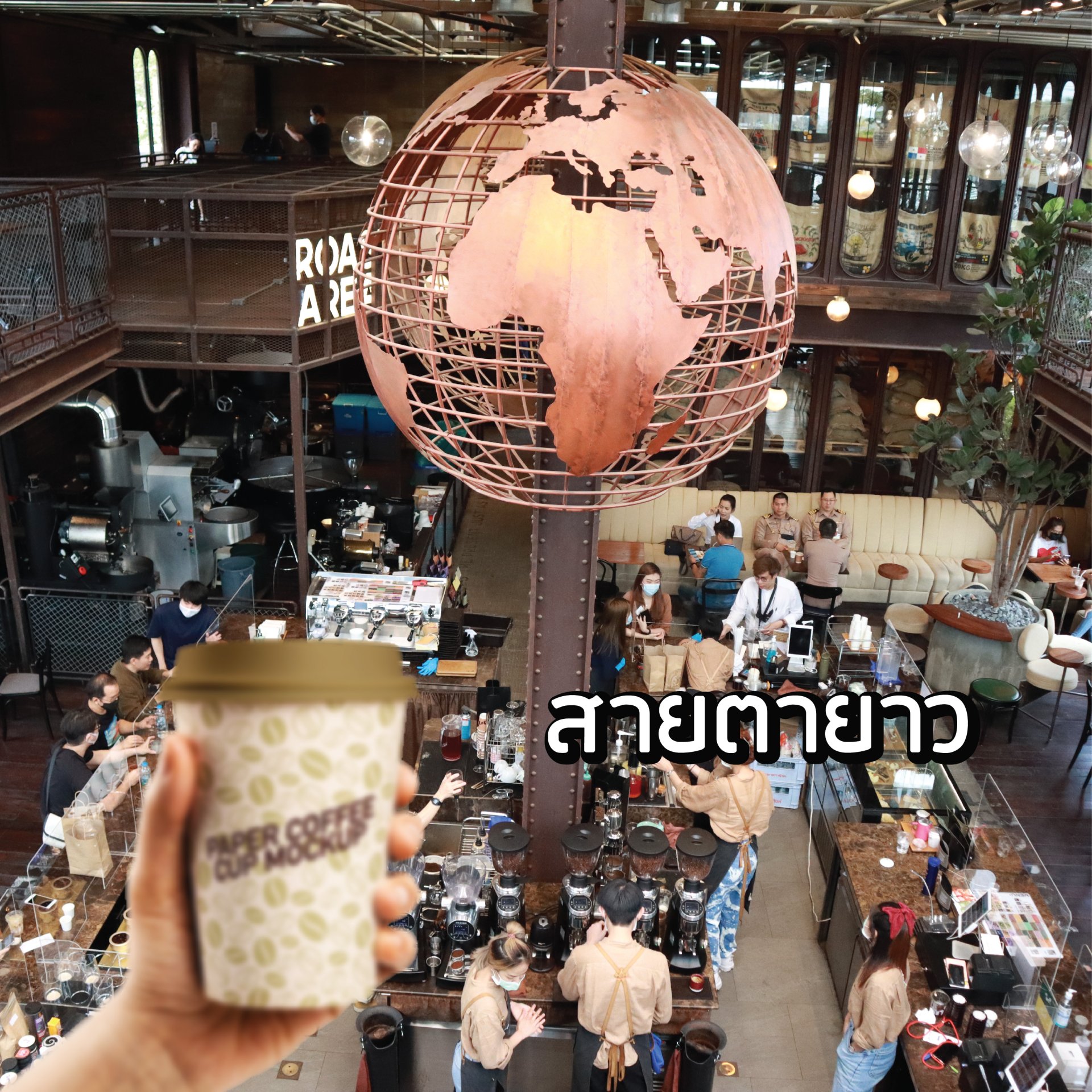 สายตายาว