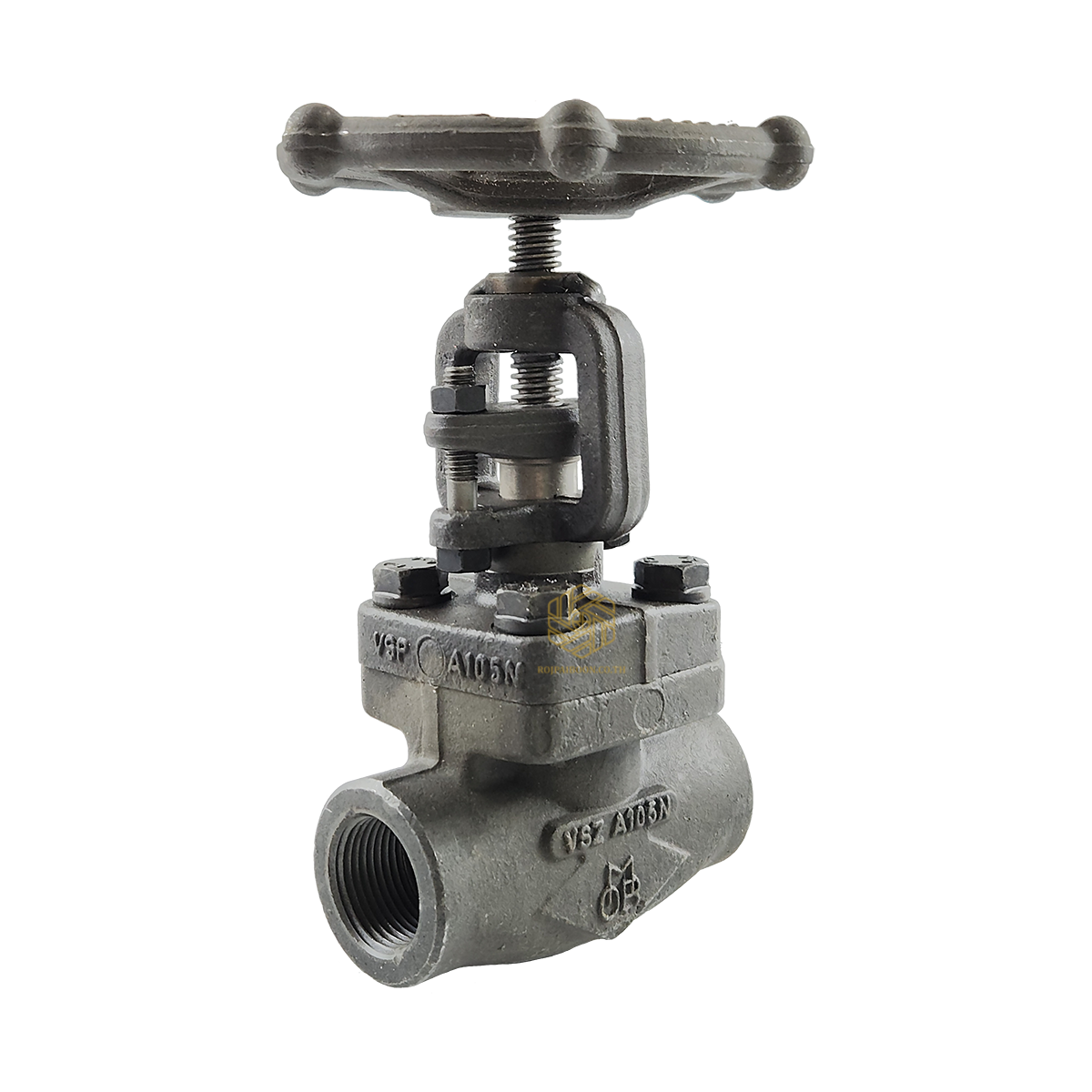 Globe A105N 800P/NPT #5