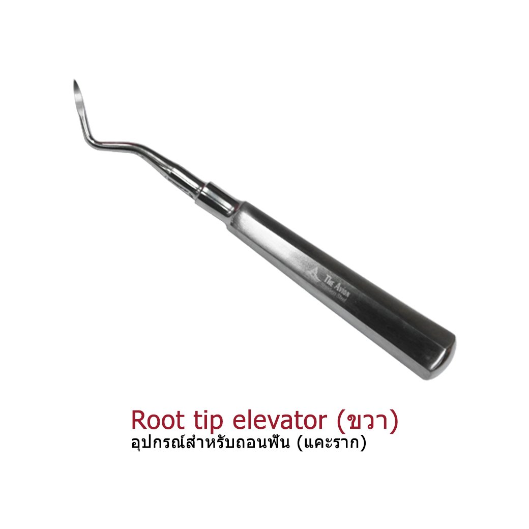 Root Tip Ext Code Root Tip Elevator (right)