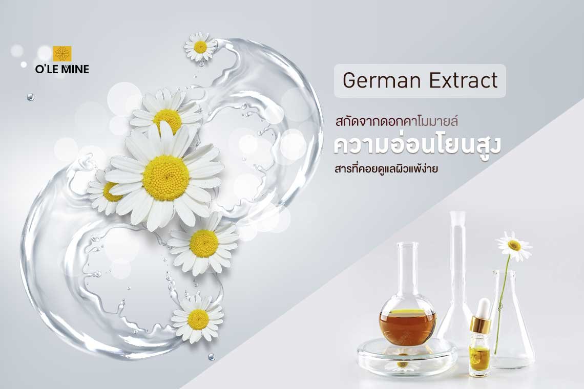 German Chamomile Extract, Matricaria recutita Extract﻿ 