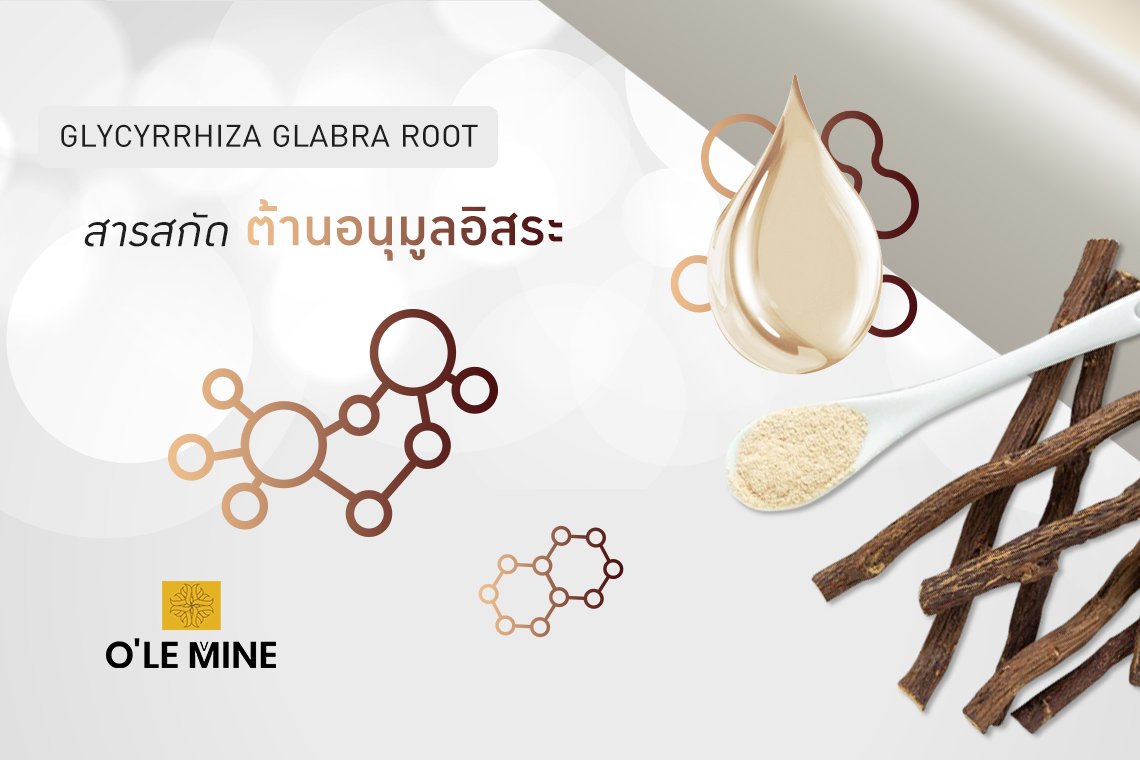 Glycyrrhiza glabra root extract 