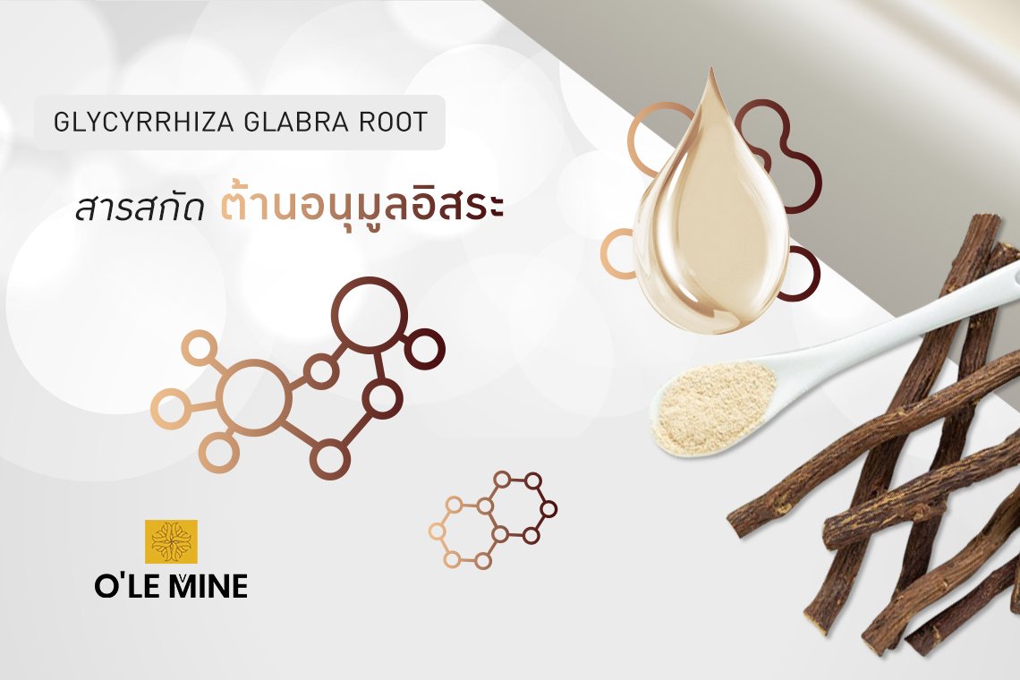 Glycyrrhiza glabra root extract  Glycyrrhiza glabra root extract