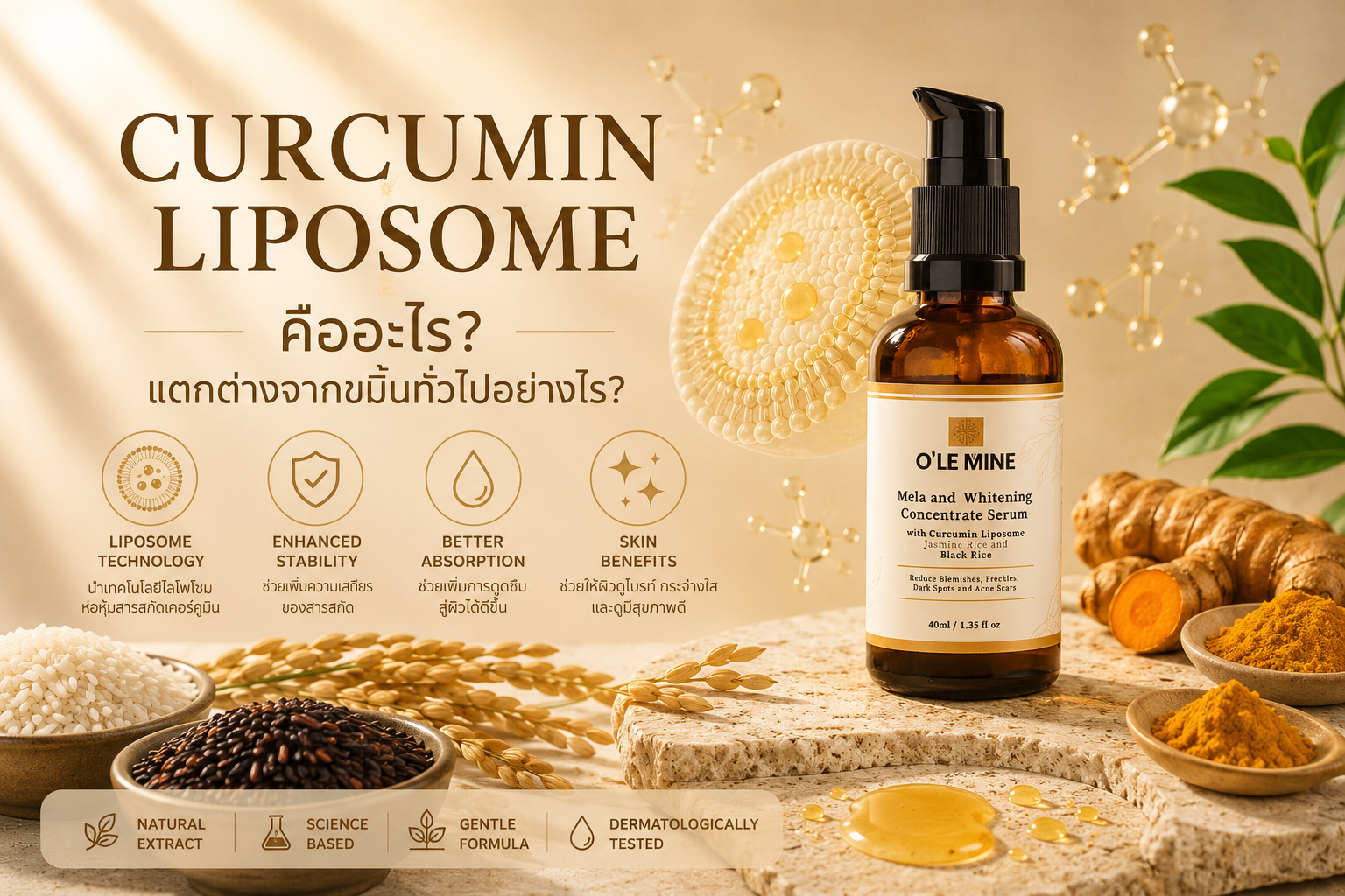 Curcumin Liposome คืออะไร? แตกต่างจากขมิ้นทั่วไปอย่างไร?