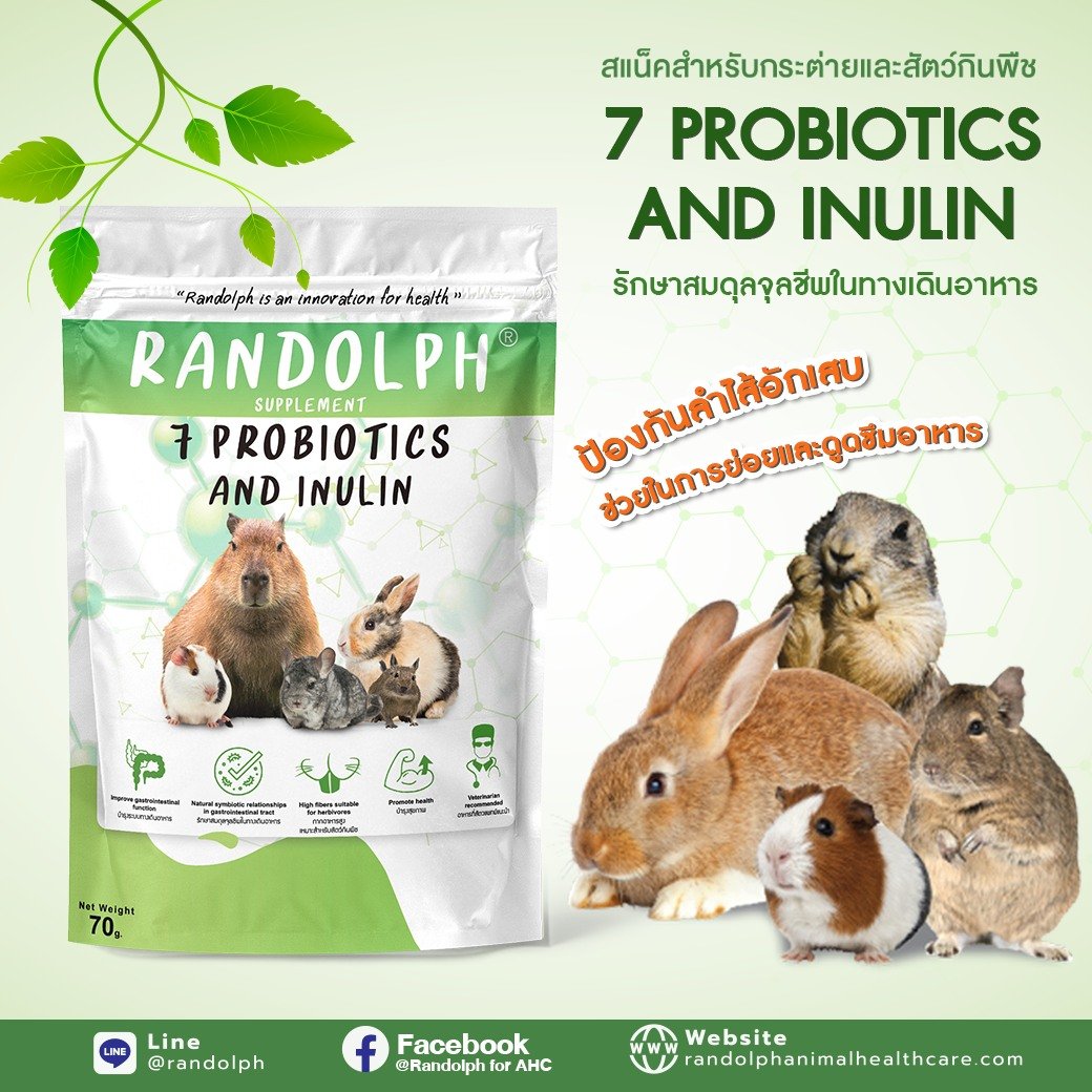 แรนดอล์ฟซัพพลีเม้นท์ 7 PROBIOTICS AND INULIN สแน็คสำหรับกระต่าย และสัตว์กินพืชขนาดเล็กทุกชนิด