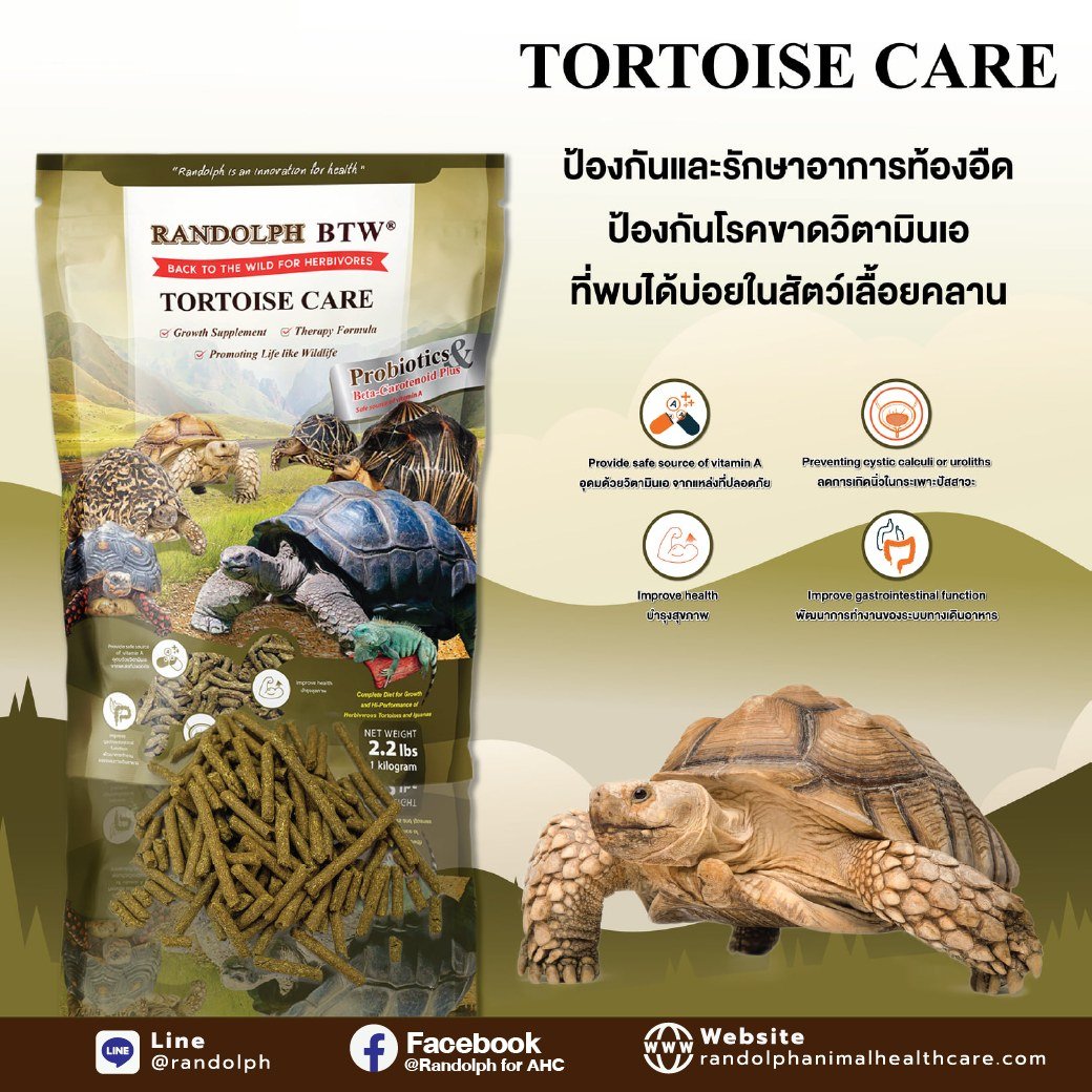 Tortoise Care อาหารเต่าบก โภชนบำบัดสำหรับการป้องกันและรักษาอาการท้องอืด ไม่ขับถ่าย ขับถ่ายผิดปกติ