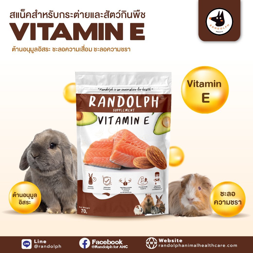 แรนดอล์ฟซัพพลีเม้นท์ Vitamin E สแน็คสำหรับกระต่าย และสัตว์กินพืชขนาดเล็กทุกชนิด
