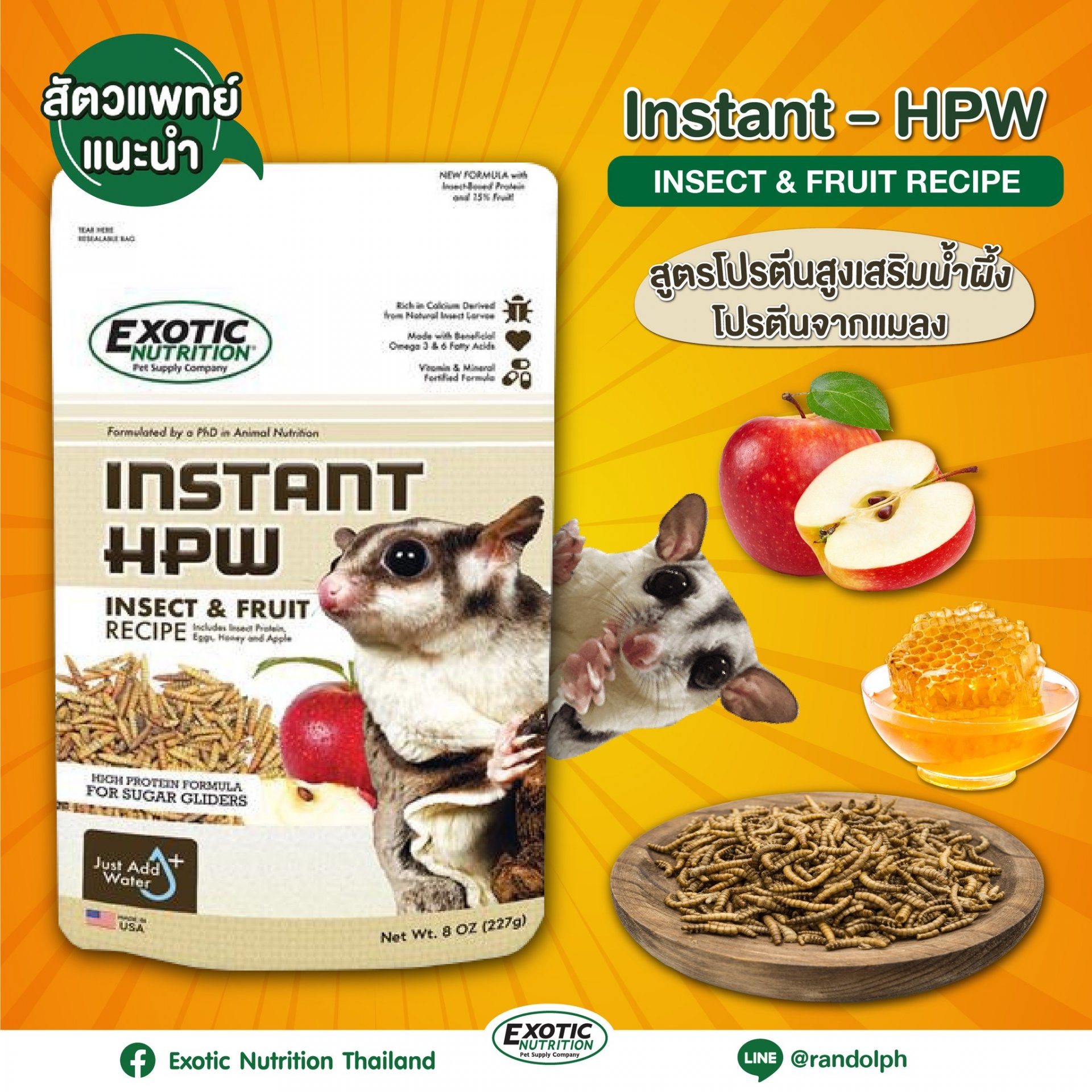  แรนดอล์ฟ-Exotic Nutrition EN Instant HPW Insect & Fruit ชูการ์ไกลเดอร์ รสแมลงผลไม้