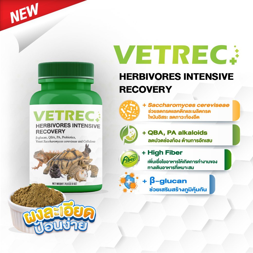 Vetrec Herbivores Intensive Recovery อาหารฟื้นฟูสำหรับกระต่ายและสัตว์กินพืช 