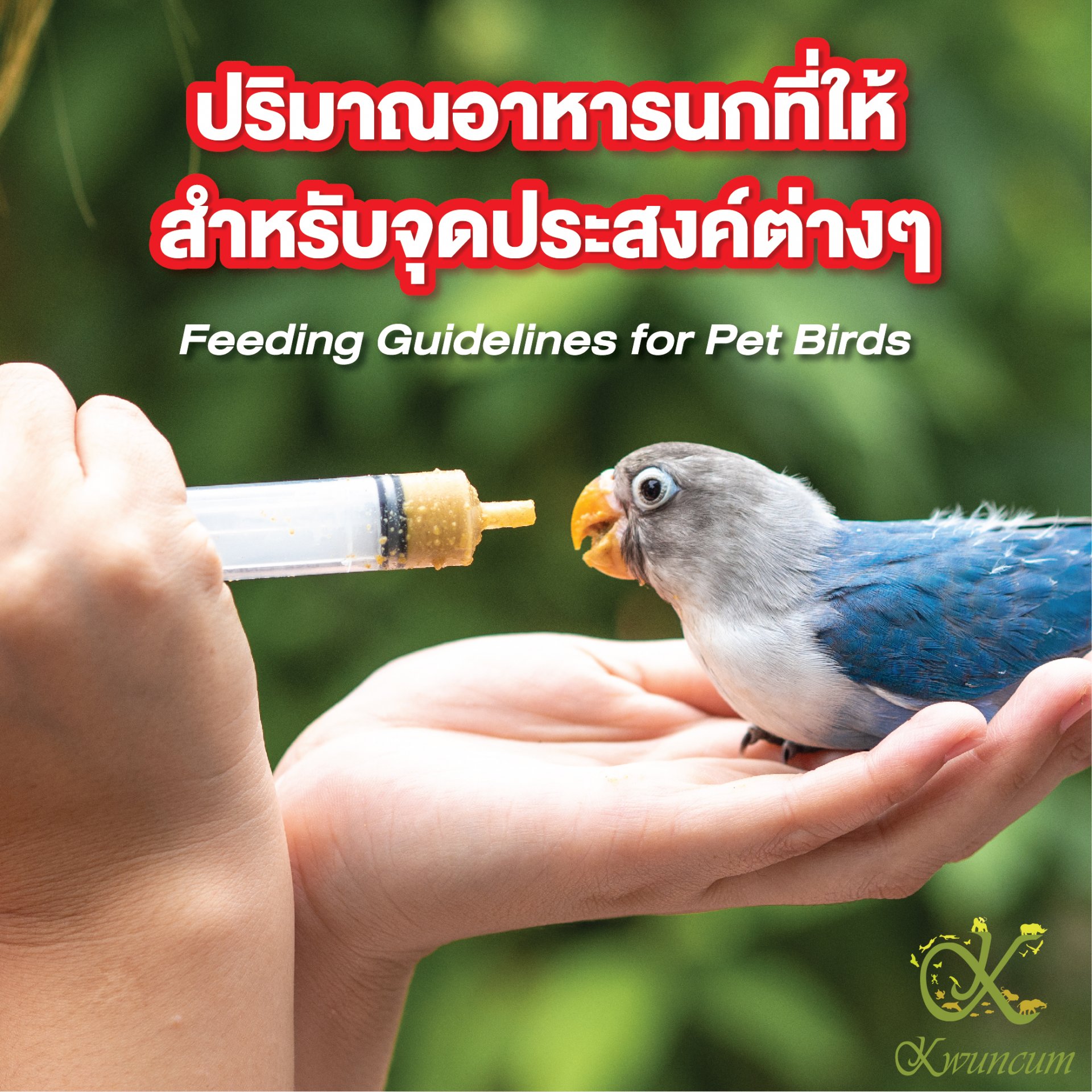 ปริมาณอาหารนกที่ให้สำหรับจุดประสงค์ต่างๆ Feeding Guidelines for Pet Birds