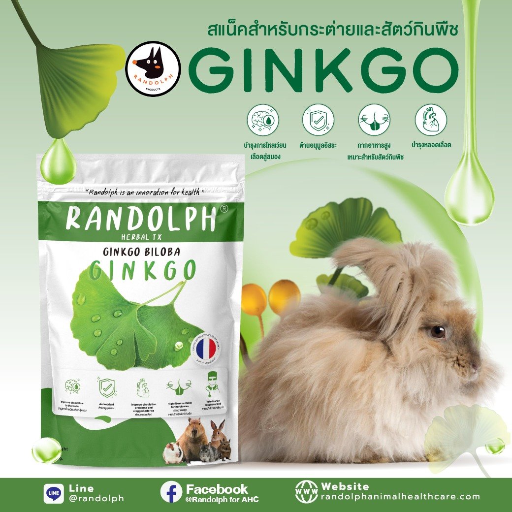 แรนดอล์ฟซัพพลีเม้นท์ Ginkgo Biloba สแน็คสำหรับกระต่าย และสัตว์กินพืชขนาดเล็ก