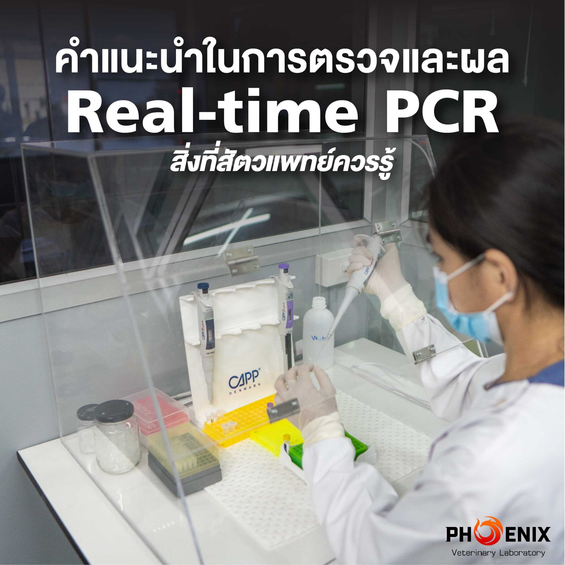 คำแนะนำในการตรวจและผล Real-time PCR สิ่งที่สัตวแพทย์ควรรู้