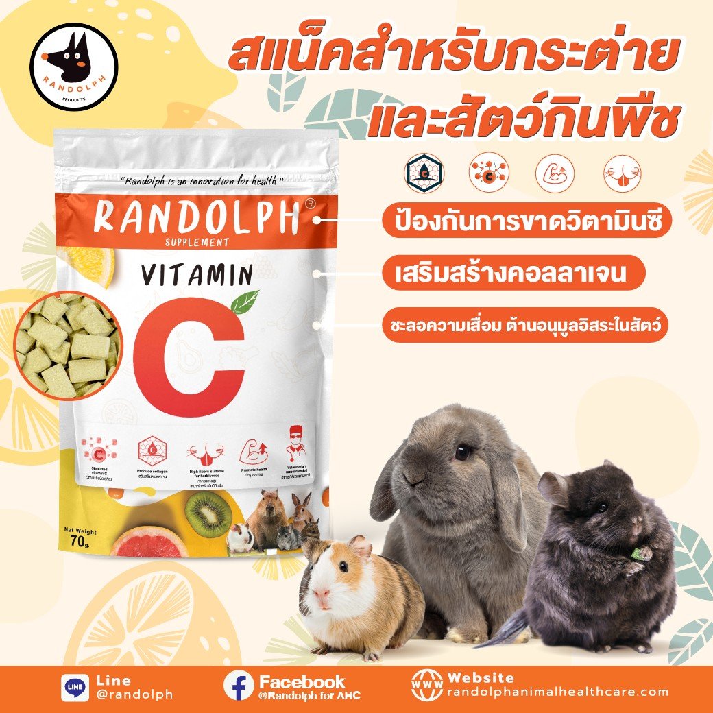 แรนดอล์ฟซัพพลีเม้นท์ Vitamin C สแน็คสำหรับกระต่าย และสัตว์กินพืชขนาดเล็กทุกชนิด