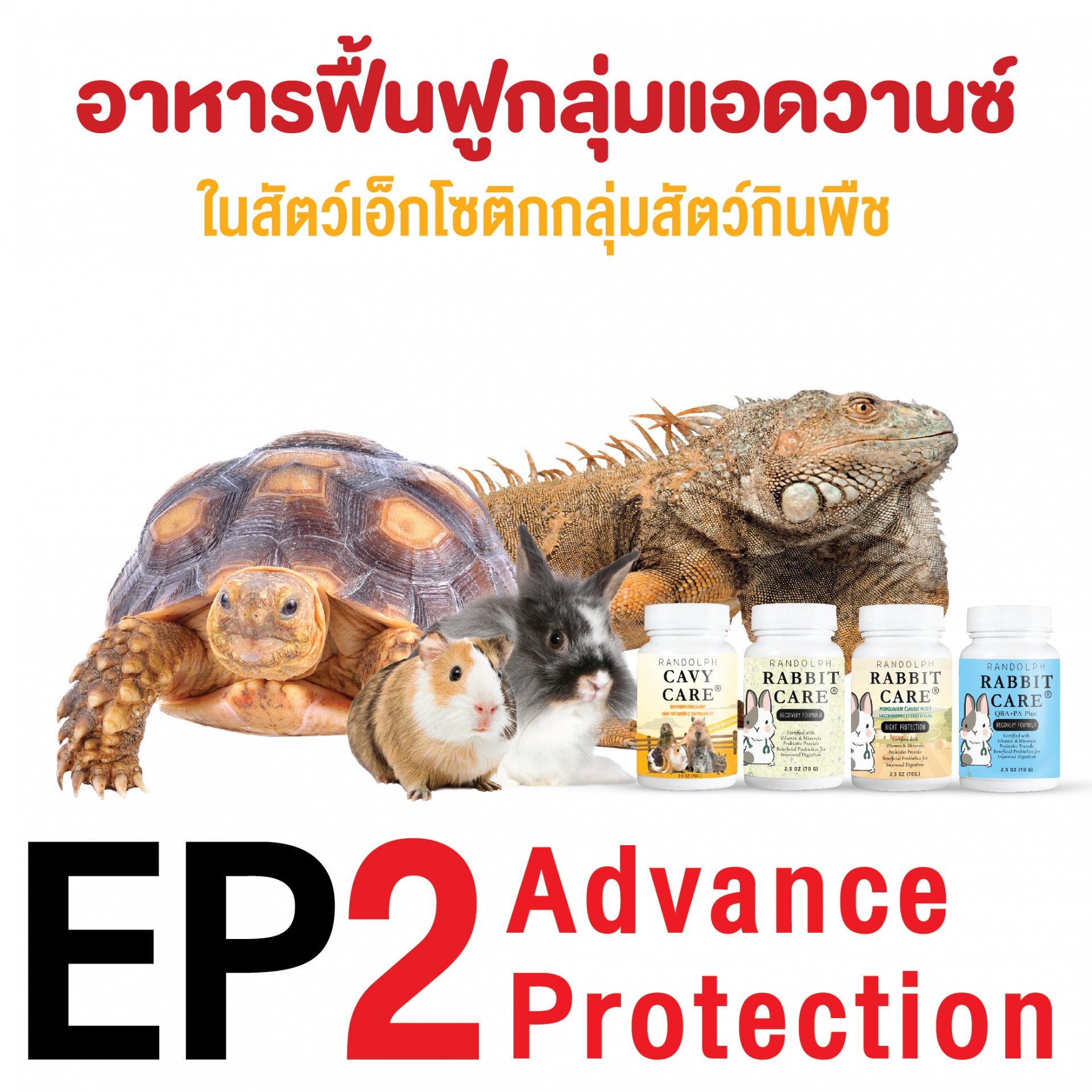 ep2. อาหารฟื้นฟูสุขภาพในเอ็กโซติกกลุ่มสัตว์กินพืช กลุ่ม advance protection โดย ผศ.น.สพ.ดร. สมโภชน์ วีระกุล (หมอแก้ว)
