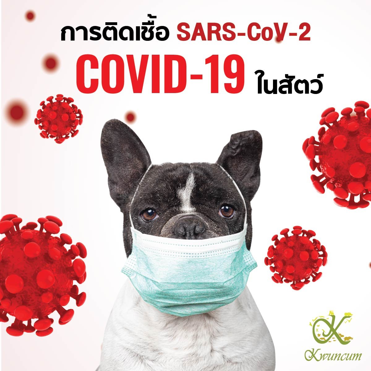 การติดเชื้อ SARS-CoV-2 (COVID-19) ในสัตว์