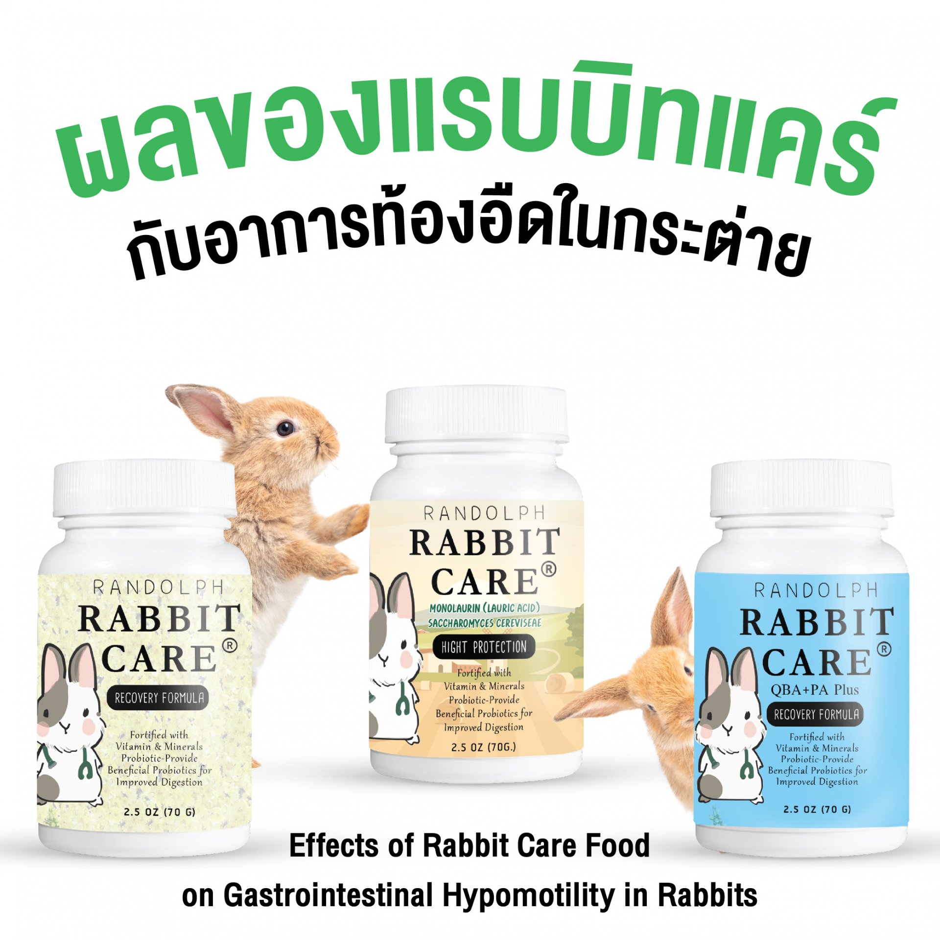 ผลของแรบบิทแคร์กับอาการท้องอืดในกระต่าย Effects of Rabbit Care Food on Gastrointestinal Hypomotility in Rabbits 