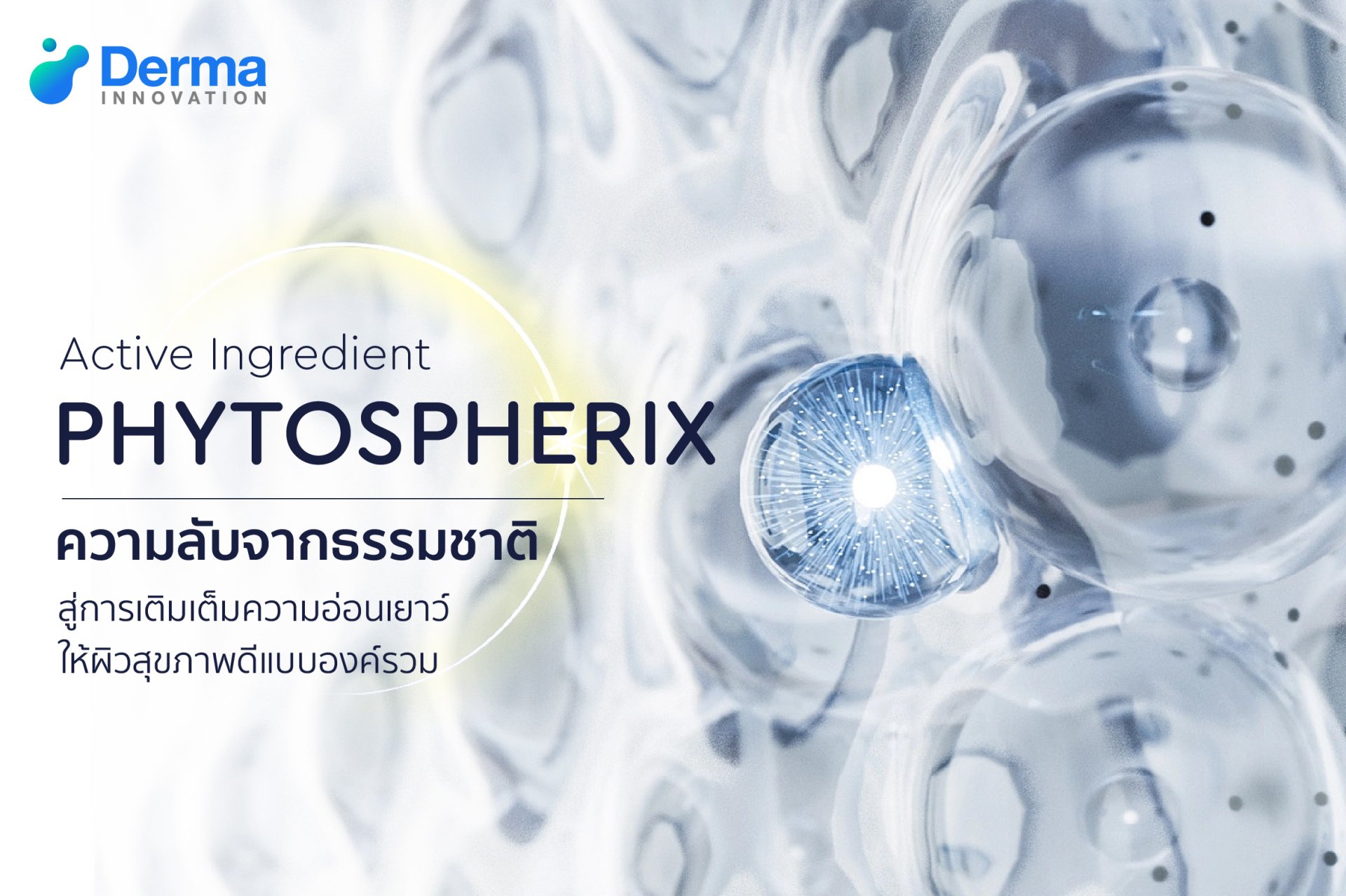 PHYTOSPHERIX  ความลับจากธรรมชาติ สู่การเติมเต็มความอ่อนเยาว์