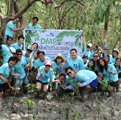 DMI Green Society
