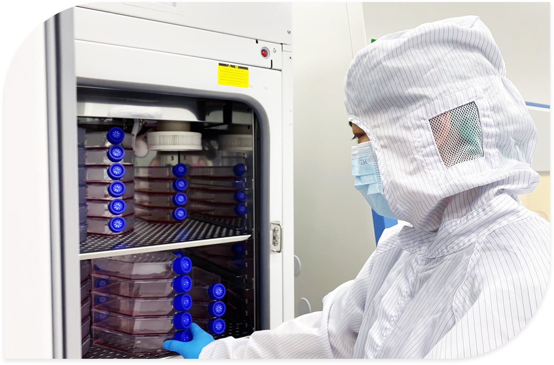 Mesenchymal Stem Cell Research Mesenchymal Stem Cell Research