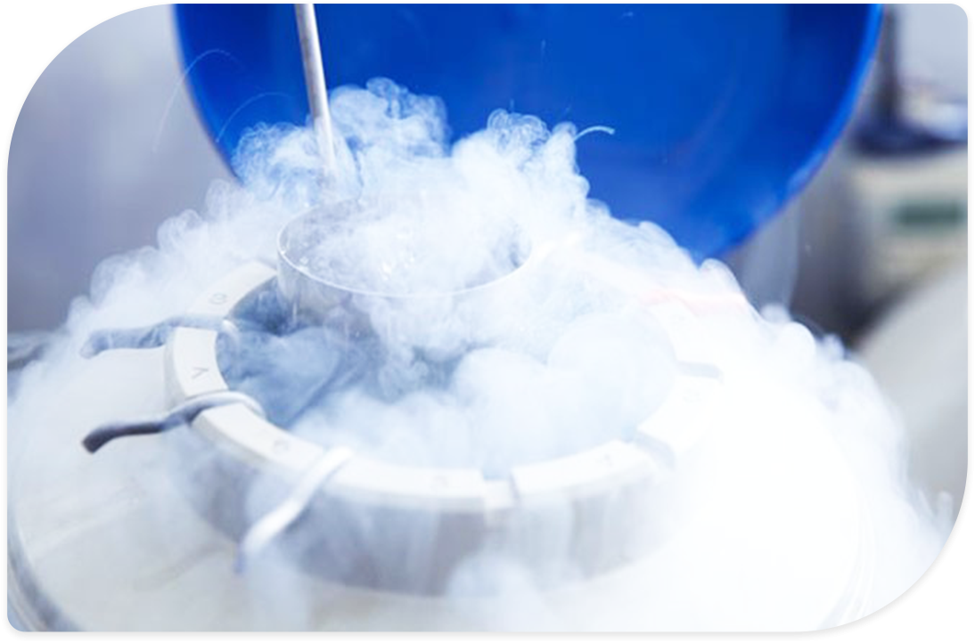 Stem Cell Banking Stem Cell Banking