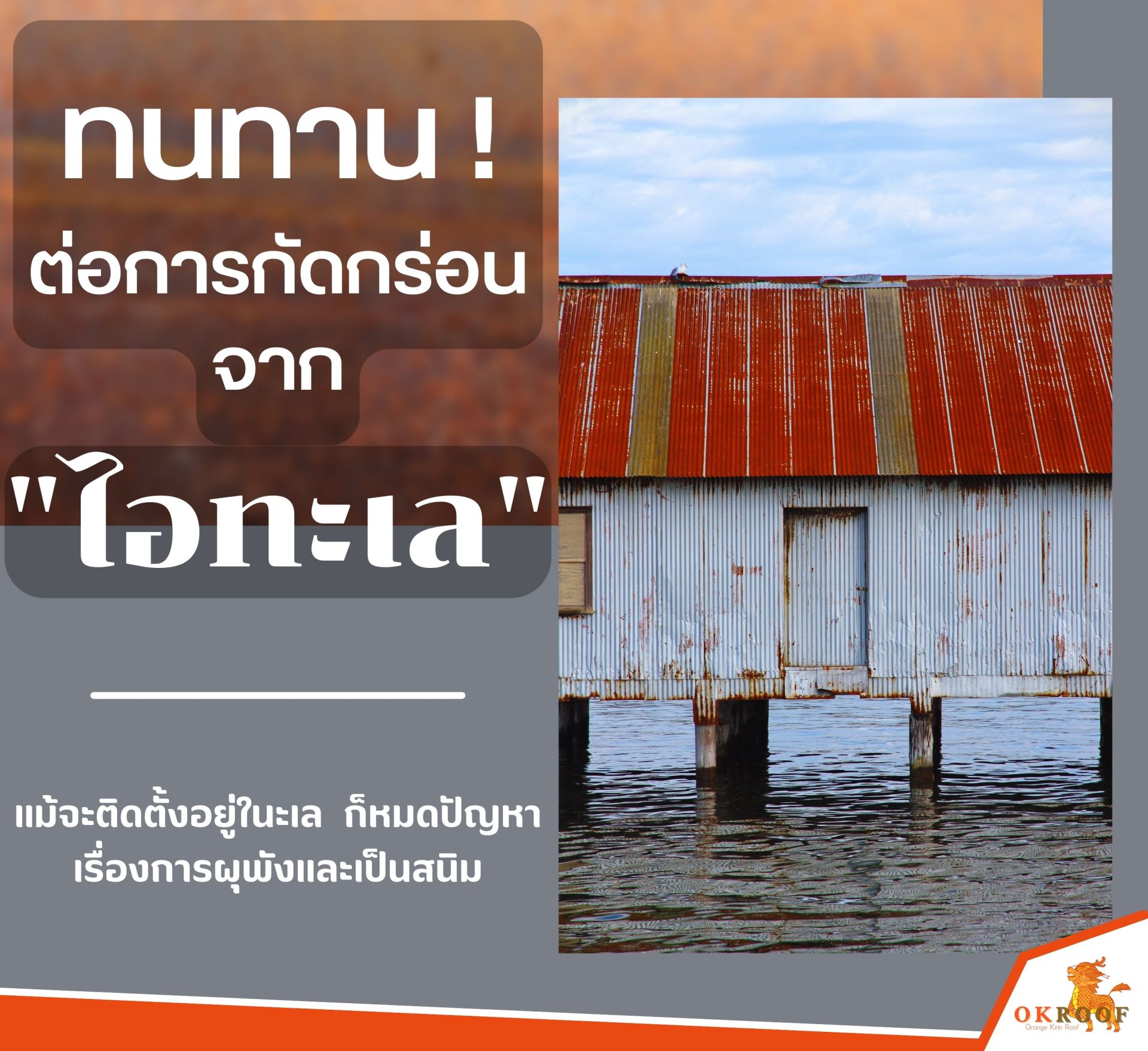 แผ่นหลังคาOK_Roof_หลังคาupvc_หลังคากันความร้อน_หลังคากันเสียง_upvc_หลังคาapvc_apvc_หลังคาประหยัดพลัง