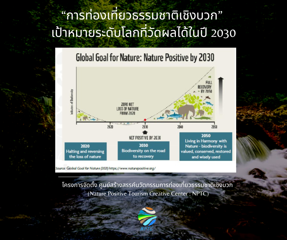 Nature Positive Tourism แนวทางของการพลิกวิกฤตให้เป็นโอกาส ไปสู่หนทางแห่งความสมดุล   Nature Positive Tourism แนวทางของการพลิกวิกฤตให้เป็นโอกาส ไปสู่หนทางแห่งความสมดุล