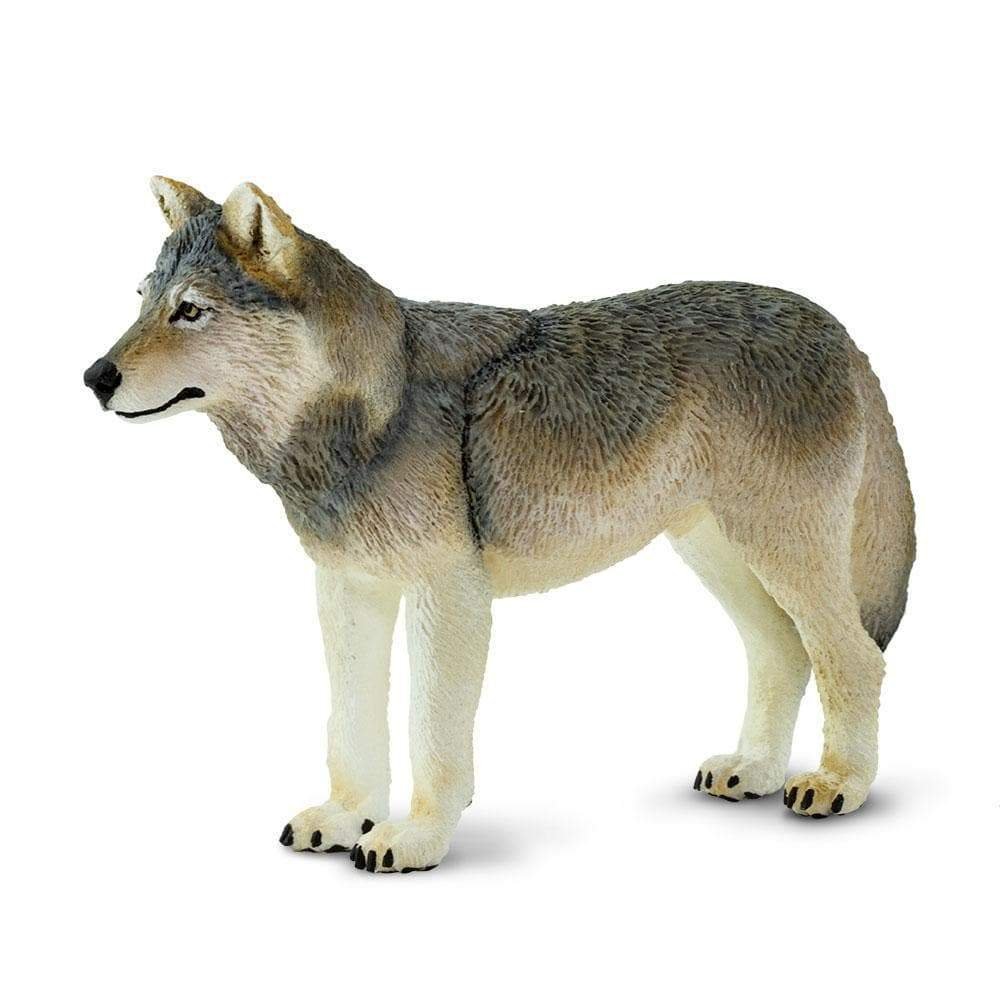 โมเดลหมาป่าGray Wolf รุ่นSFR100509