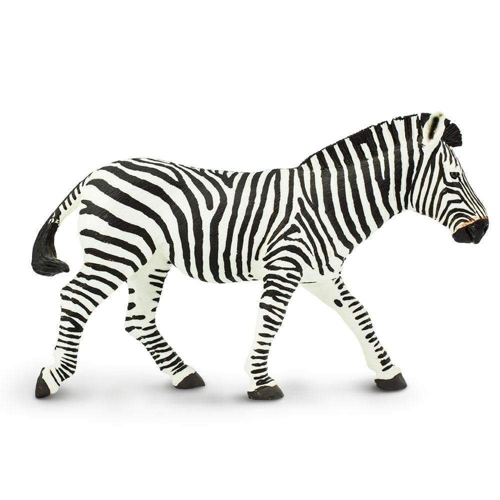 โมเดลสัตว์ Zebra รุ่น  SFR 111489