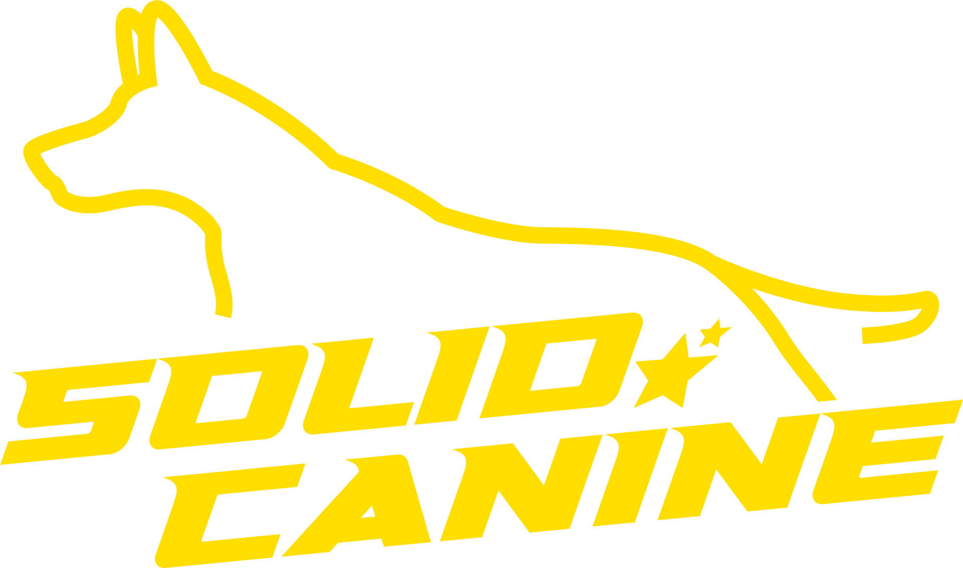 SOLID K9