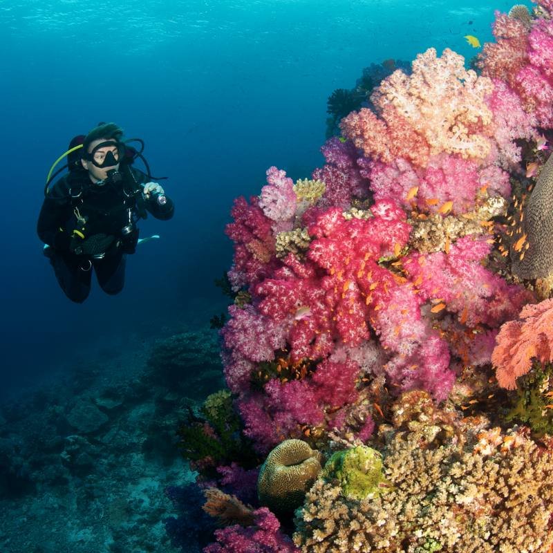 Scuba Diving best activities in Thailand