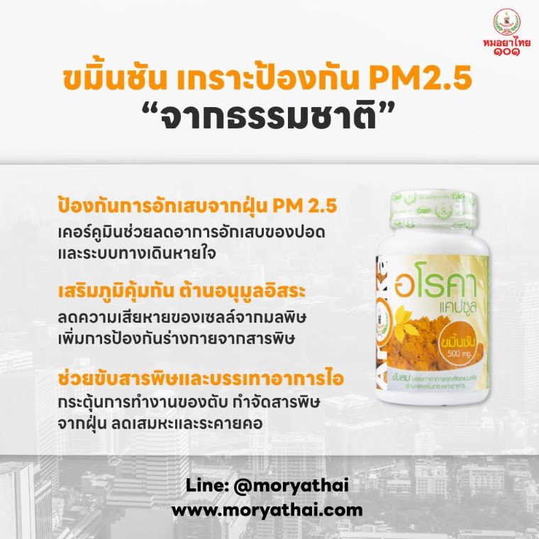 ขมิ้นชัน สมุนไพรต้านฝุ่น PM2.5 ปกป้องร่างกายจากมลพิษทางอากาศ ขมิ้นชัน สมุนไพรต้านฝุ่น PM2.5 ปกป้องร่างกายจากมลพิษทางอากาศ