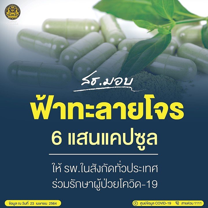 “ฟ้าทะลายโจร”  กับการรักษา Covid-19 “ฟ้าทะลายโจร”  กับการรักษา Covid-19