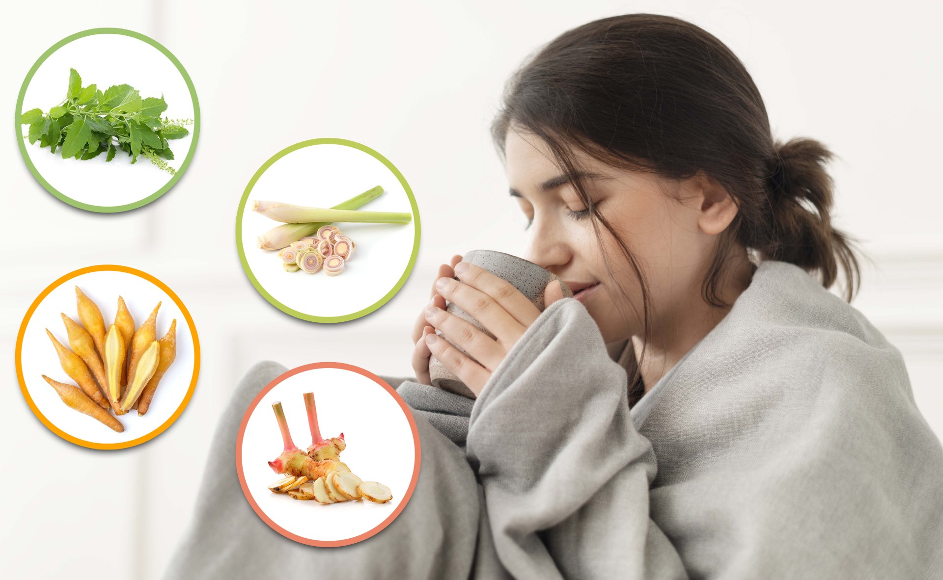 สมุนไพรแก้หนาว ป้องกันป่วย เป็นไข้ ไม่สบาย ที่อาจอยู่รอบตัวคุณ สมุนไพรแก้หนาว ป้องกันป่วย เป็นไข้ ไม่สบาย ที่อาจอยู่รอบตัวคุณ