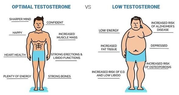 ความรู้พื้นฐานเกี่ยวกับ Testosterone กับผู้เริ่มต้น